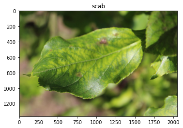 Using tensorflow with EfficientNet to predict plant diseases
