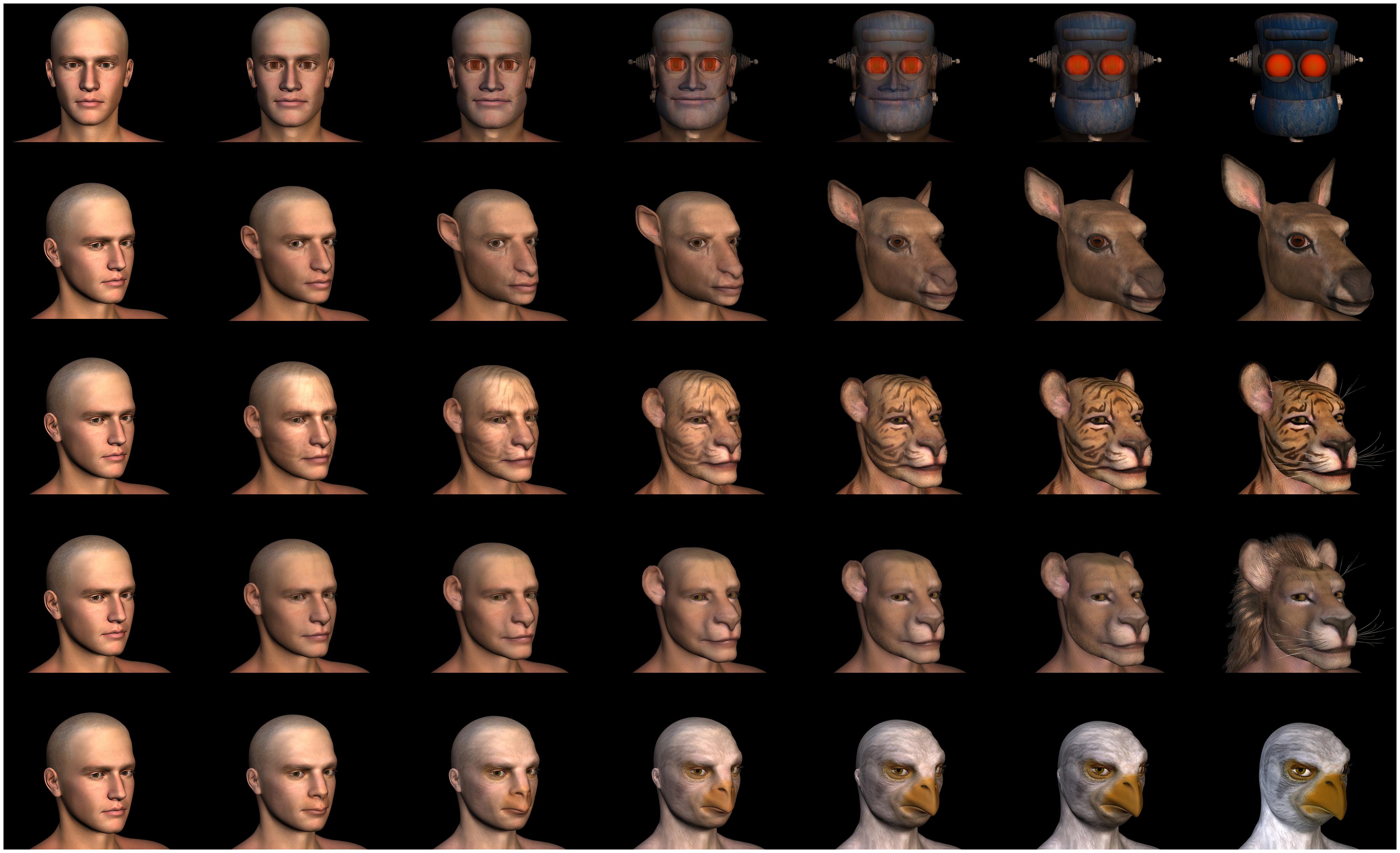 FIGURE 4. Computer-generated morphs (human-robot, human-stag, human-tiger, human-lion, human-bird).
